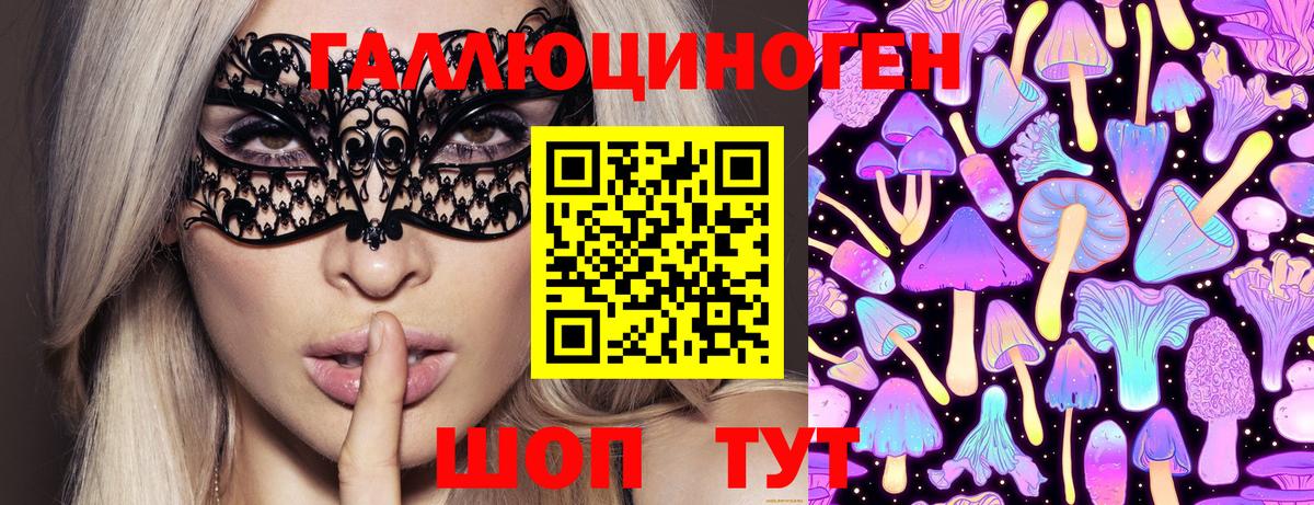 Зерноград  цены   Вход с VPN  Псилоцибиновые грибы GOLDEN TEACHER 
