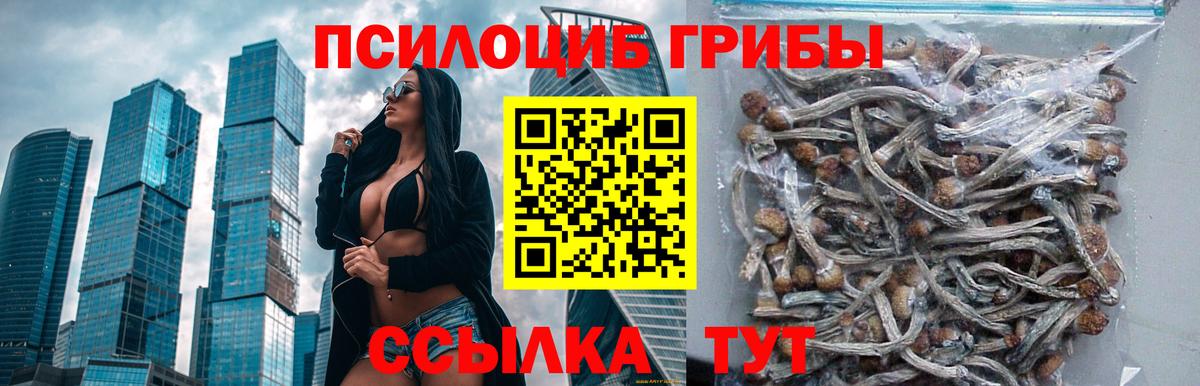Псилоцибиновые грибы прущие грибы Зерноград