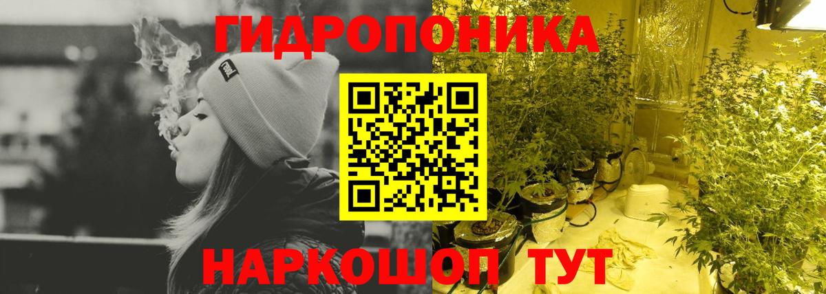 Бошки марихуана семена  Бошки марихуана сатива  Марихуана план  Вход с VPN  Конопля семена  Зерноград 